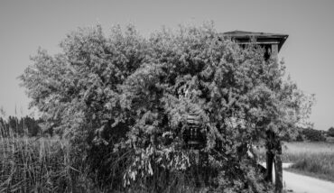 La Natura Vince