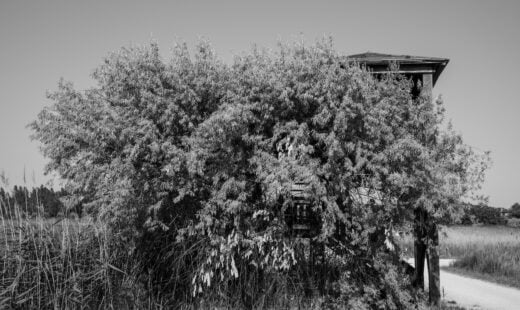 La Natura Vince