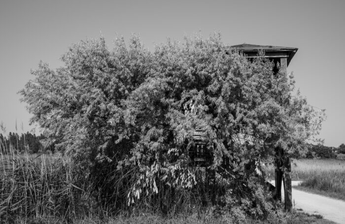 La Natura Vince