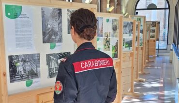 Mostra Forestale