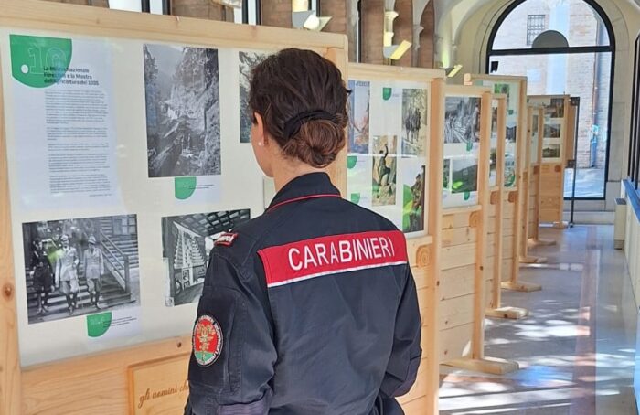 Mostra Forestale