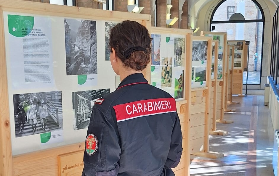 Mostra Forestale