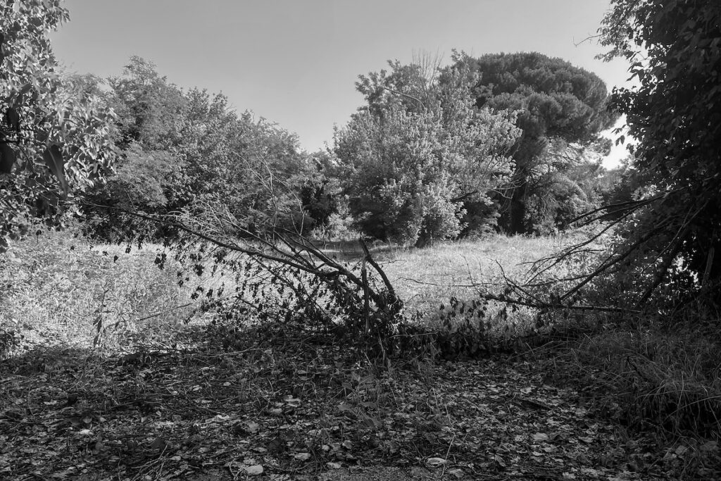 La natura vince