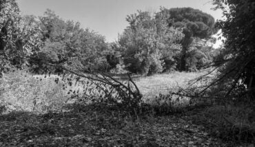 La natura vince