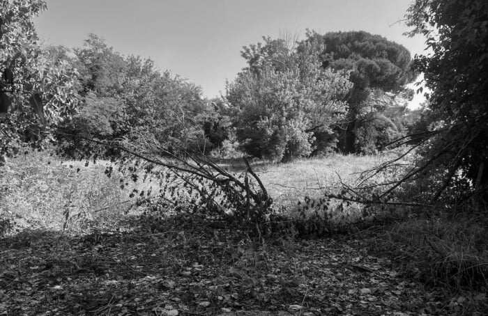 La natura vince