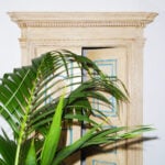 CAVEJASTUDIO LELEFANTE 09