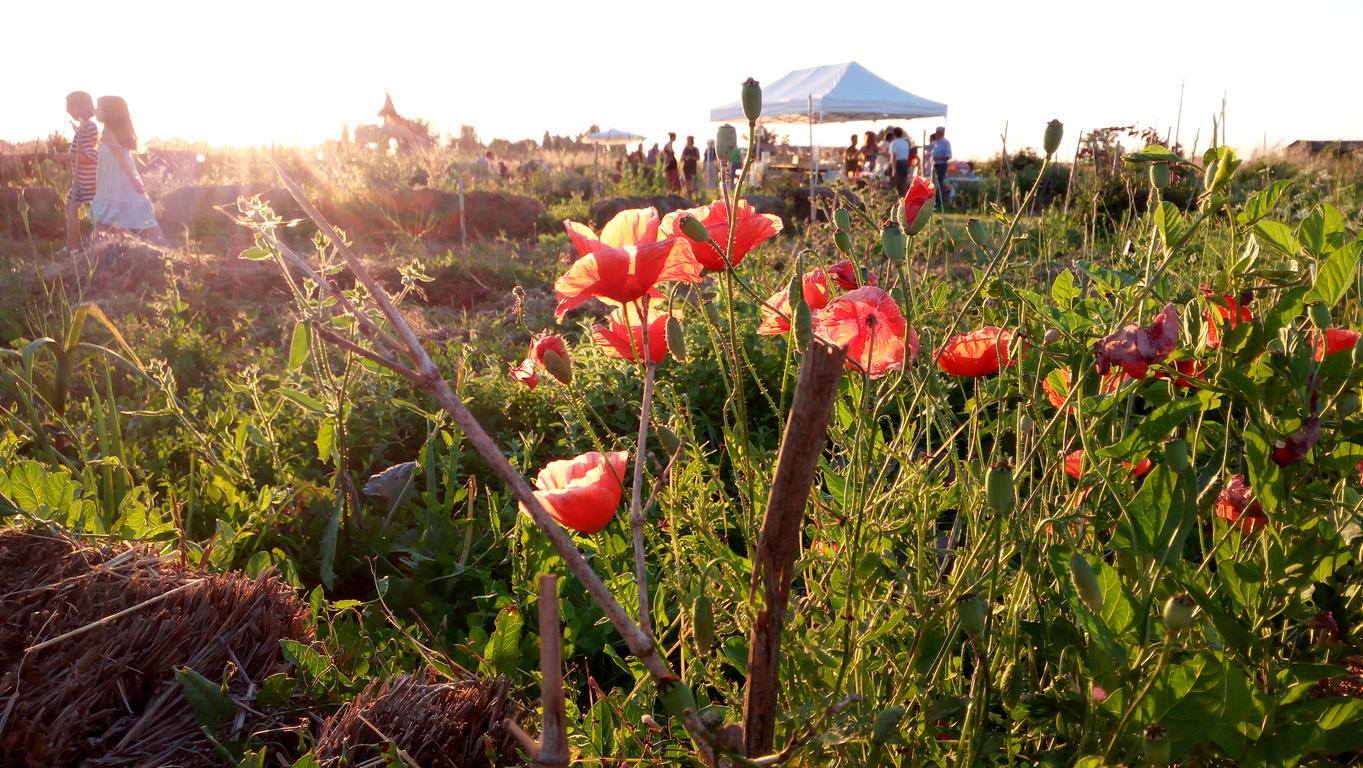 Humusapiens Campo Via Granaroli