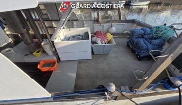 vongole sequestrate guardia costiera