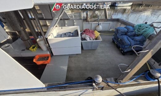 vongole sequestrate guardia costiera