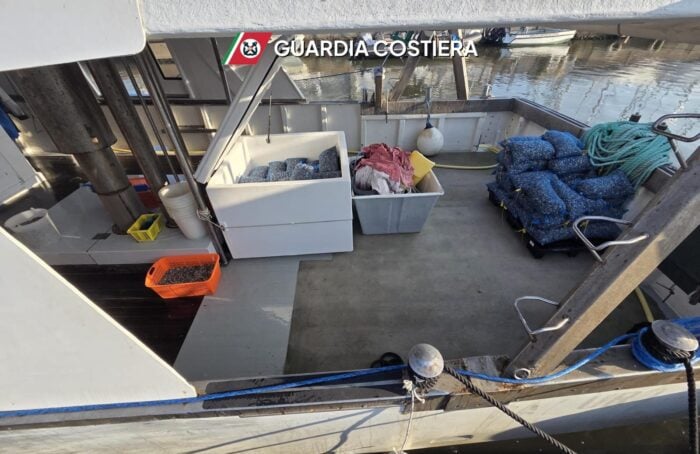 vongole sequestrate guardia costiera