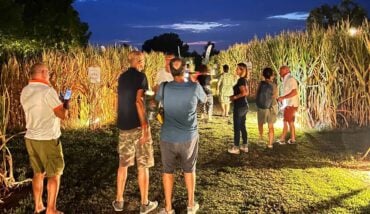 Labirinto Di Alfonsine Gente Notte