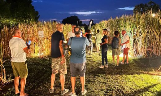 Labirinto Di Alfonsine Gente Notte