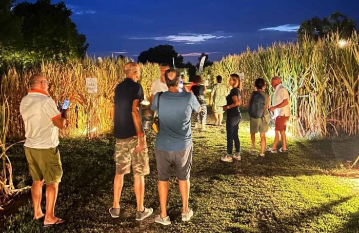 Labirinto Di Alfonsine Gente Notte