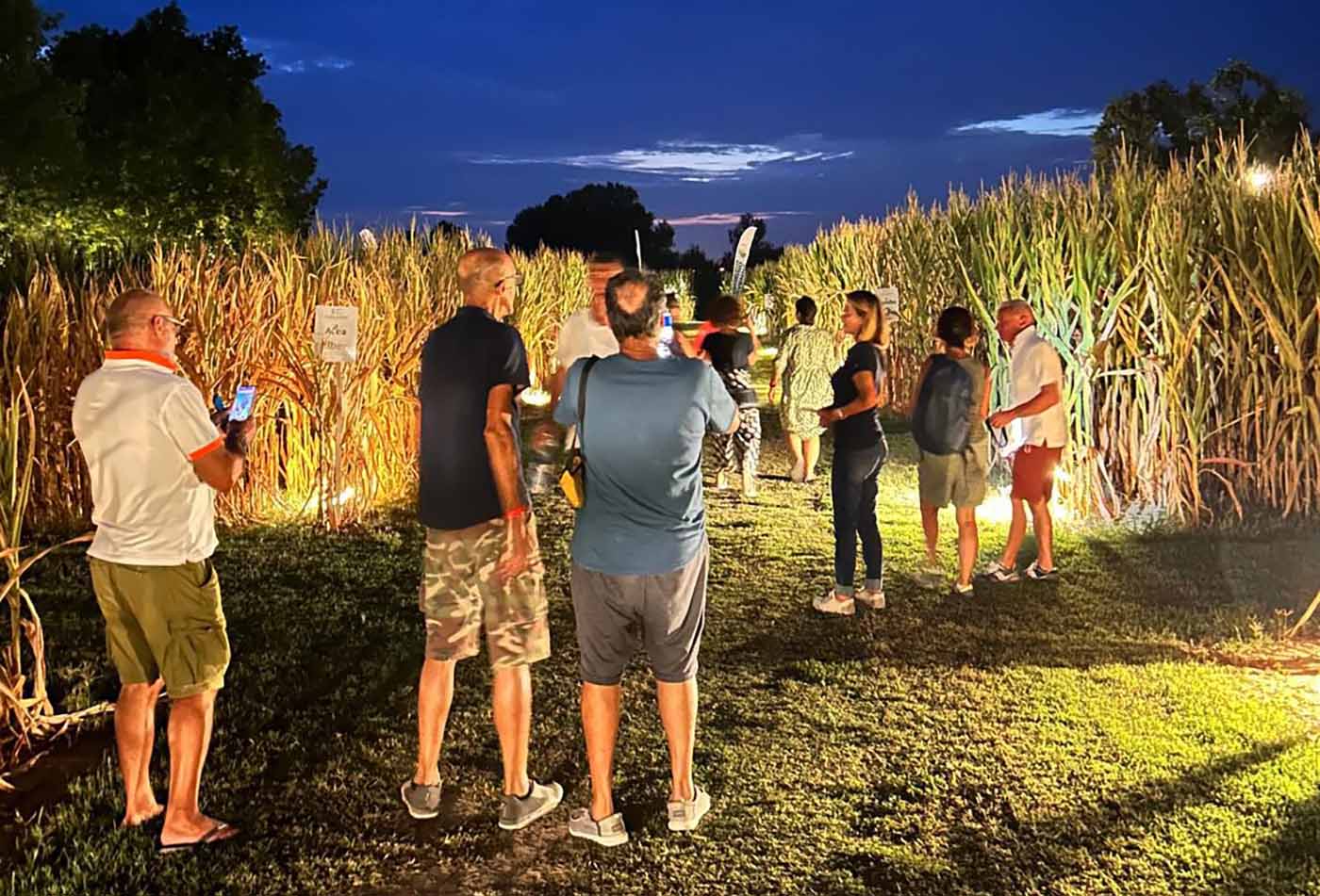Labirinto Di Alfonsine Gente Notte