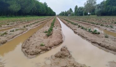 Cab Cervia Allagamenti 2