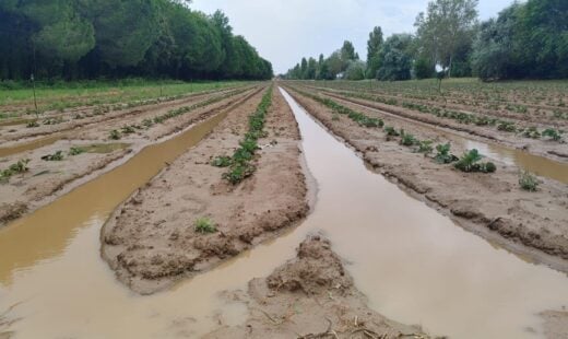 Cab Cervia Allagamenti 2