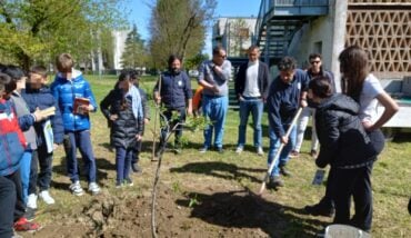 Piantumazione Alberi