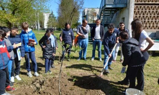 Piantumazione Alberi