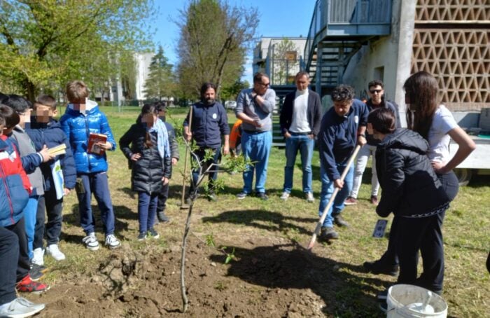 Piantumazione Alberi
