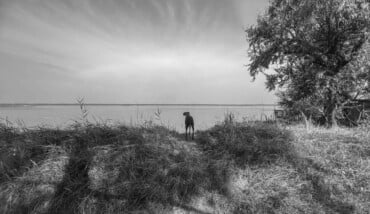 Io, Lola e il paesaggio