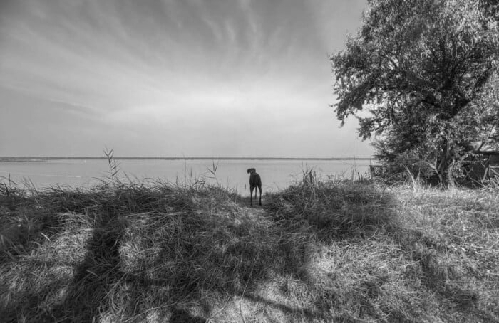 Io, Lola e il paesaggio