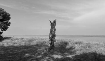 Soundtrack for falling trees