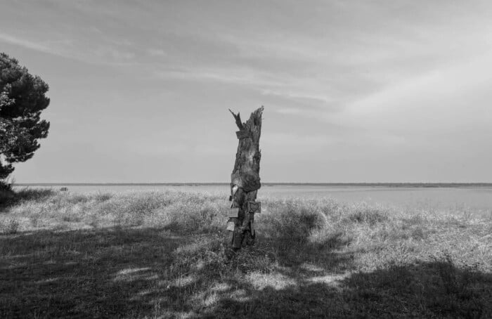 Soundtrack for falling trees
