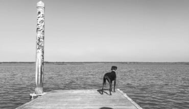 Io, Lola e il paesaggio