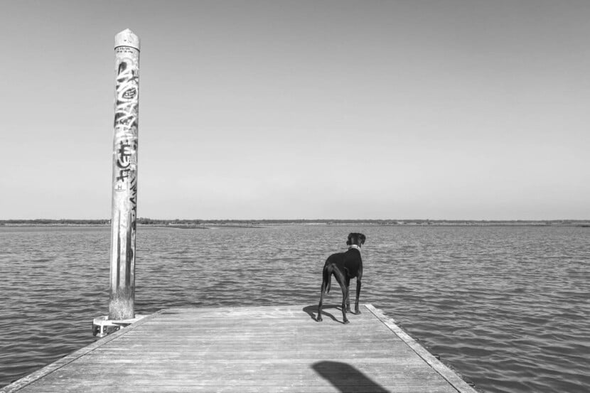 Io, Lola e il paesaggio