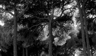 362) CIMITERO COLET