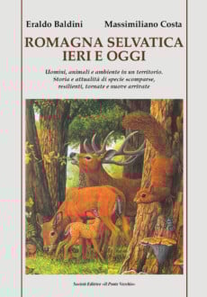 9791259784018 0 0 0 0 0