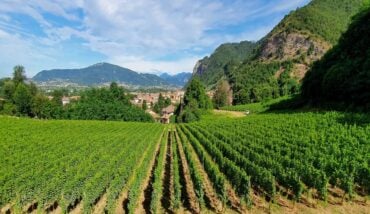 Il La Franciacorta Articolo 1440x810