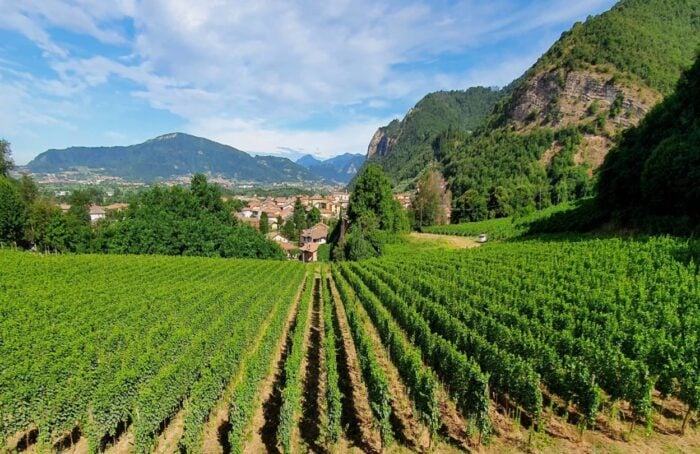 Il La Franciacorta Articolo 1440x810