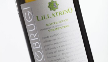 Lillatrino Pieriniebrugi
