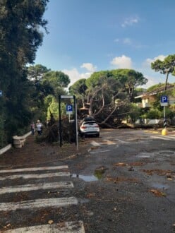 Foto Ausiello Mazzi (dalla Pagina Le Mie Cervia E Milano Marittima) 10