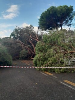 Foto Ausiello Mazzi (dalla Pagina Le Mie Cervia E Milano Marittima) 11