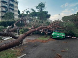 Foto Ausiello Mazzi (dalla Pagina Le Mie Cervia E Milano Marittima) 12