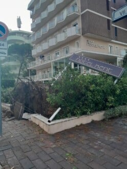 Foto Ausiello Mazzi (dalla Pagina Le Mie Cervia E Milano Marittima) 13