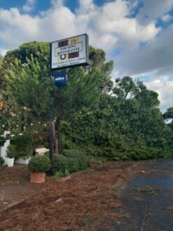Foto Ausiello Mazzi (dalla Pagina Le Mie Cervia E Milano Marittima) 16