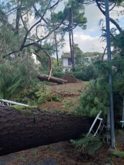 Foto Ausiello Mazzi (dalla Pagina Le Mie Cervia E Milano Marittima) 17
