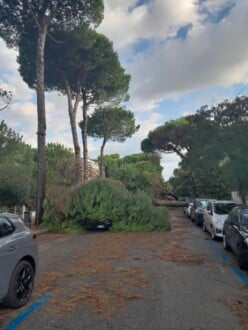 Foto Ausiello Mazzi (dalla Pagina Le Mie Cervia E Milano Marittima) 19