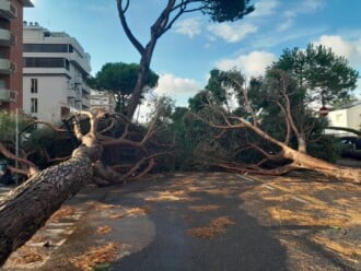 Foto Ausiello Mazzi (dalla Pagina Le Mie Cervia E Milano Marittima) 20