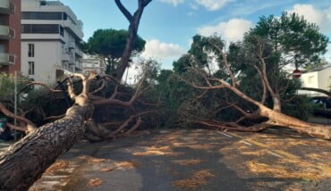 Foto Ausiello Mazzi (dalla Pagina Le Mie Cervia E Milano Marittima) 20 
