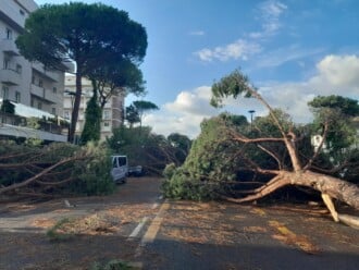 Foto Ausiello Mazzi (dalla Pagina Le Mie Cervia E Milano Marittima) 21