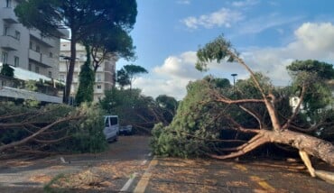 Foto Ausiello Mazzi (dalla Pagina Le Mie Cervia E Milano Marittima) 21 