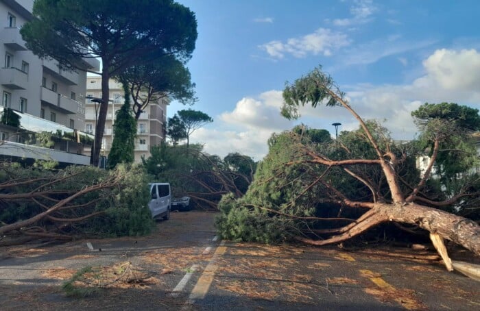 Foto Ausiello Mazzi (dalla Pagina Le Mie Cervia E Milano Marittima) 21