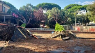 Foto Ausiello Mazzi (dalla Pagina Le Mie Cervia E Milano Marittima) 23
