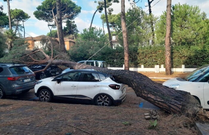 Foto Ausiello Mazzi (dalla Pagina Le Mie Cervia E Milano Marittima) 3