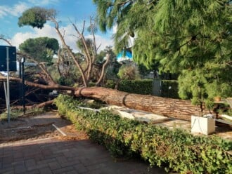 Foto Ausiello Mazzi (dalla Pagina Le Mie Cervia E Milano Marittima) 4