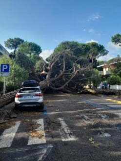 Foto Ausiello Mazzi (dalla Pagina Le Mie Cervia E Milano Marittima) 5